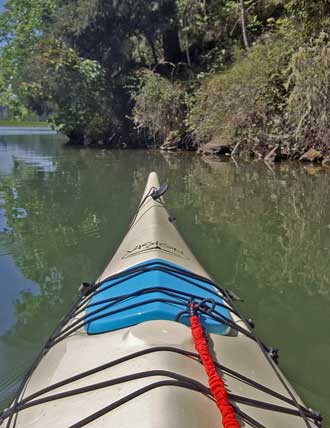 View from the kayak