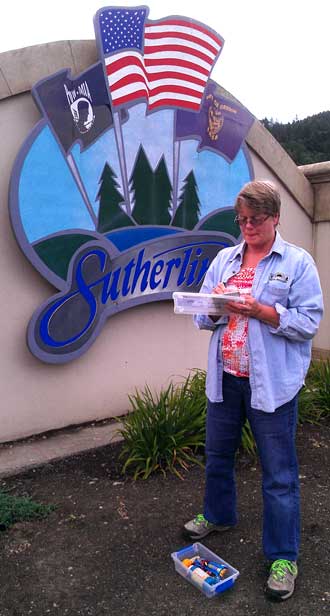 Gwen finds a cache at the Sutherlin town sign