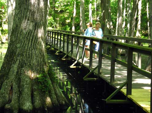 Janet and Gwen crossing the bridge over Cypress Swamp