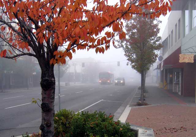 Fog in Downtown Medford