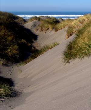 The dunes on Pistol River Beach in Pistol River Oregon
