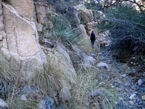 A wash in the Cochise Stronghold