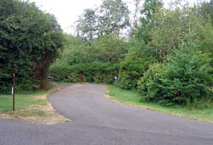 Silver Falls State Park RV space with privacy