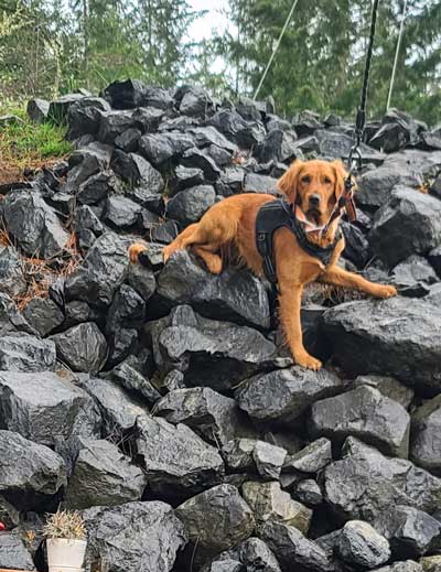Abby climbs the rock wall