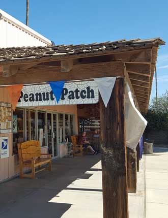 Visiting the Peanut Patch