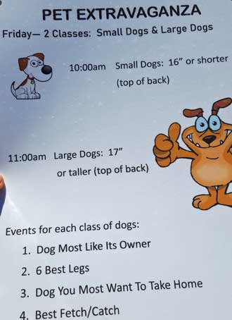 How to win the dog contest