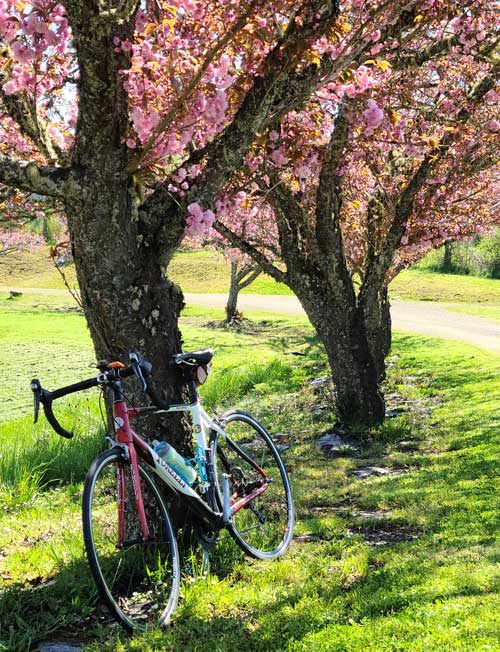Spring in Oregon