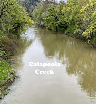 Calpooia Creek