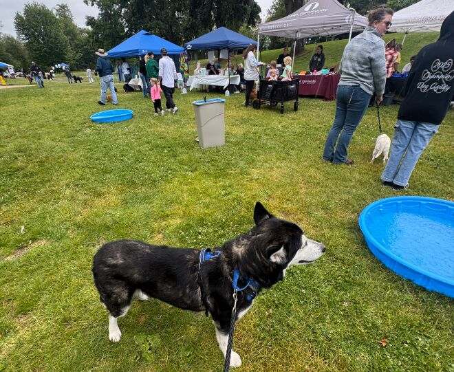 Dave and I attending Barks and Recreation
