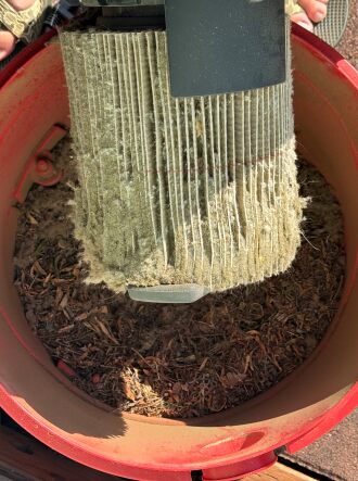 This is what was collected