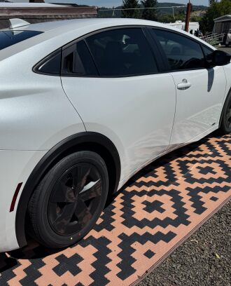 Windows are tinted, now for side dent protection