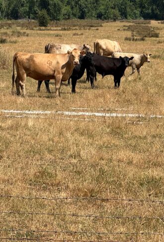 Spectators during my ride