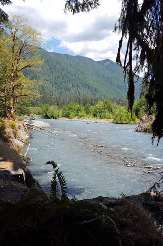 The Hoh River in the Hoh Rain Forest