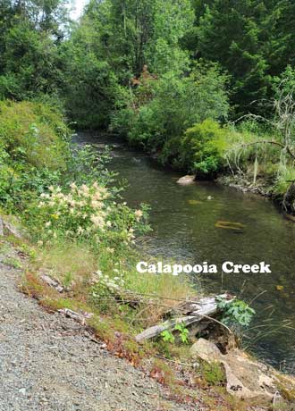Calapooia Creek