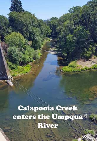 Calapooia Creek entering the Umpqua River