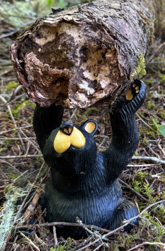 The bear is lifting the log