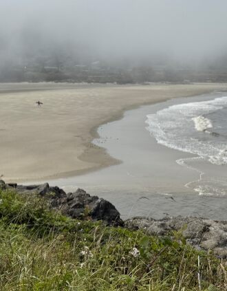 Beach with surfers