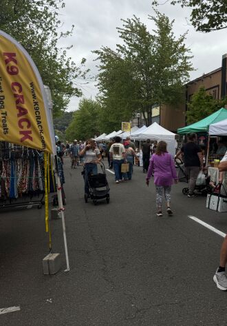 Jackson Street in Roseburg