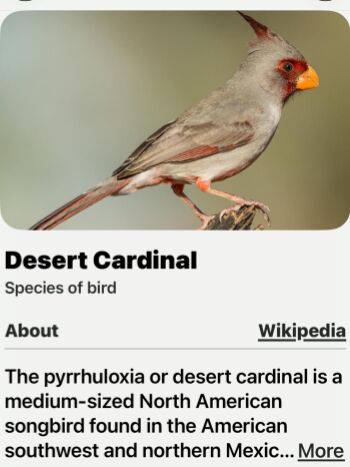 Description from Wikipedia