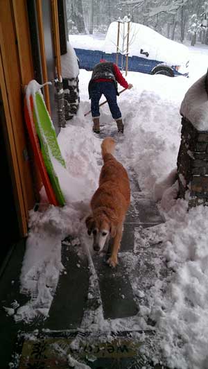 Gwen doing her share of the shoveling