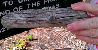 A cache is found cleverly hiden in a piece of drift wood