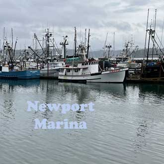 Newport Marina