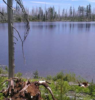 View of Square Lake, Behind: panorama of Square Lake