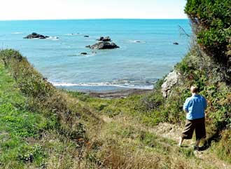 Hike to McVay Beach, Behind: Panorama from above McVay Beach with Ralph on the left