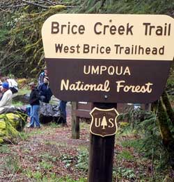 Brice Creek Trail hike with the local Friends of the Umpqua Hiking Club, Behind: Our 19 person hiking group