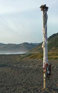 A May-pole on the beach, Behind: probably 500 hikers this weekend