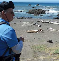 Richard was the first to spot the sea lions on the beach, Behind: the trail continues