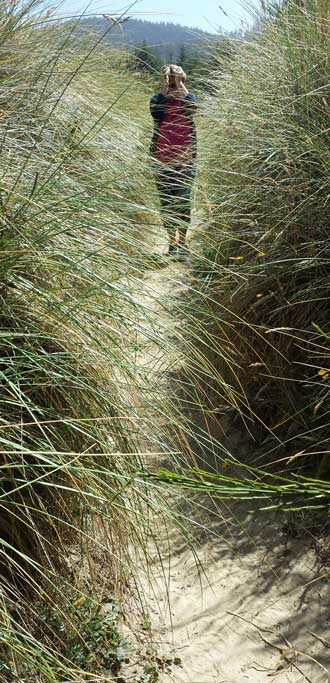 Gwen squeezes through the tall grass to the beach, Behind: a long, flat beach south of the Umpqua River