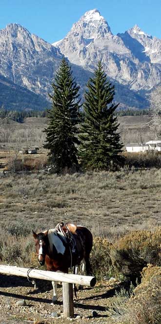 Grand Teton, Behind: local horseman