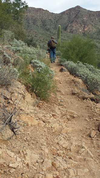 The trail is rocky but a gentle ascent to the saddle
