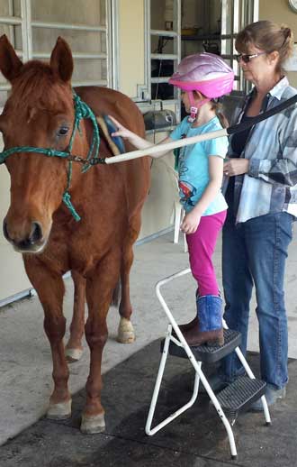 Brushing the horse before the ride