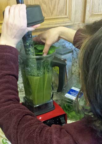 Mindy teaching me how to use a Vitamix blender