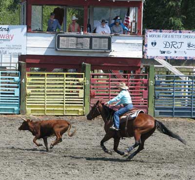 Open Class Horse competition