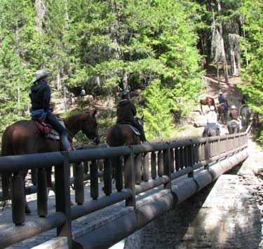 These riders begin in Apgar village and are riding a trail just east of McDonald Lake