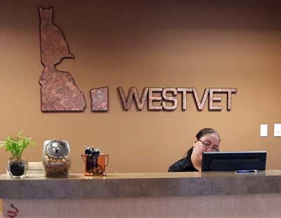 Receptionist at West Vet