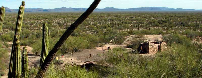 The Victoria Mine with the Sonoran Desert in the background