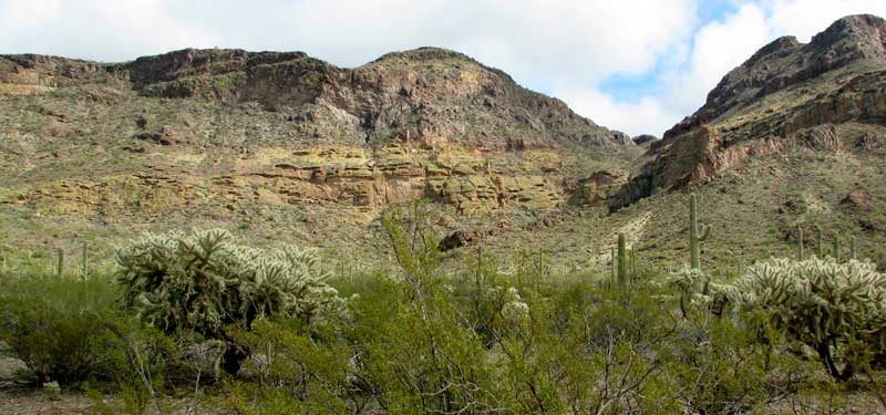 A view of the Ajo Mountains
