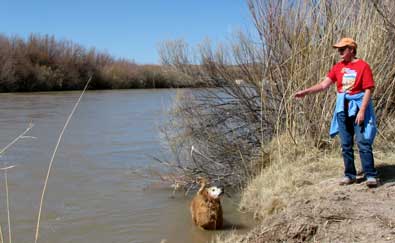 We hike to the Rio Grande, Morgan goes for a welcome swim
