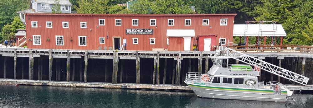 The older side of the marina. The red building has the Stubbs Whale Watching headquarters and gift shop plus a whale museum. 