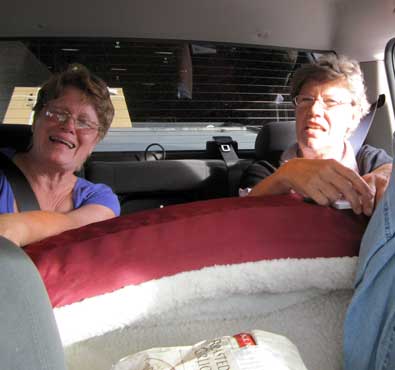 The girls are squeezed into the back seat with the new dog bed