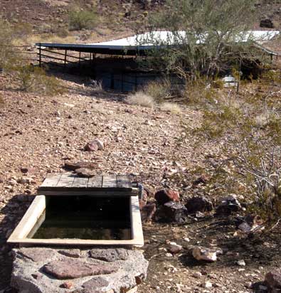 Water for desert animals