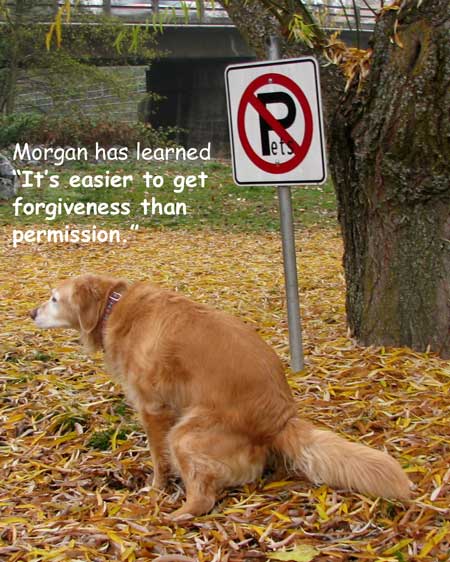Morgan teaches us