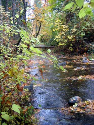 autumn on Thompson Creek